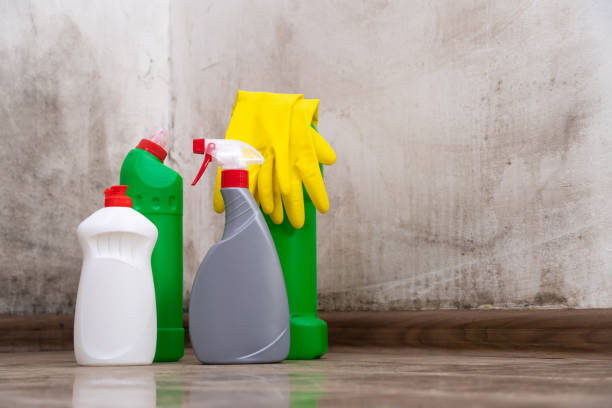 Best Biohazard Mold Removal  in USA